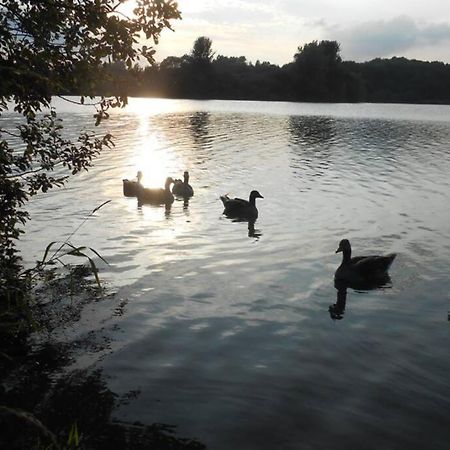 The Lake House: A Delightful And Peaceful Retreat. Derrymacash المظهر الخارجي الصورة