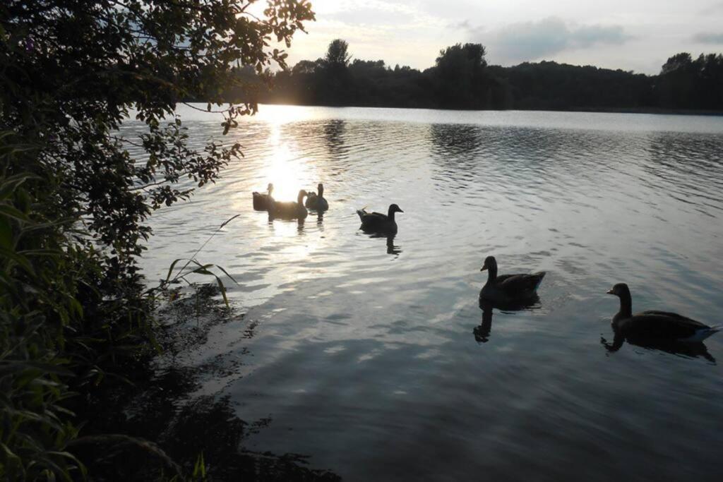 The Lake House: A Delightful And Peaceful Retreat. Derrymacash المظهر الخارجي الصورة