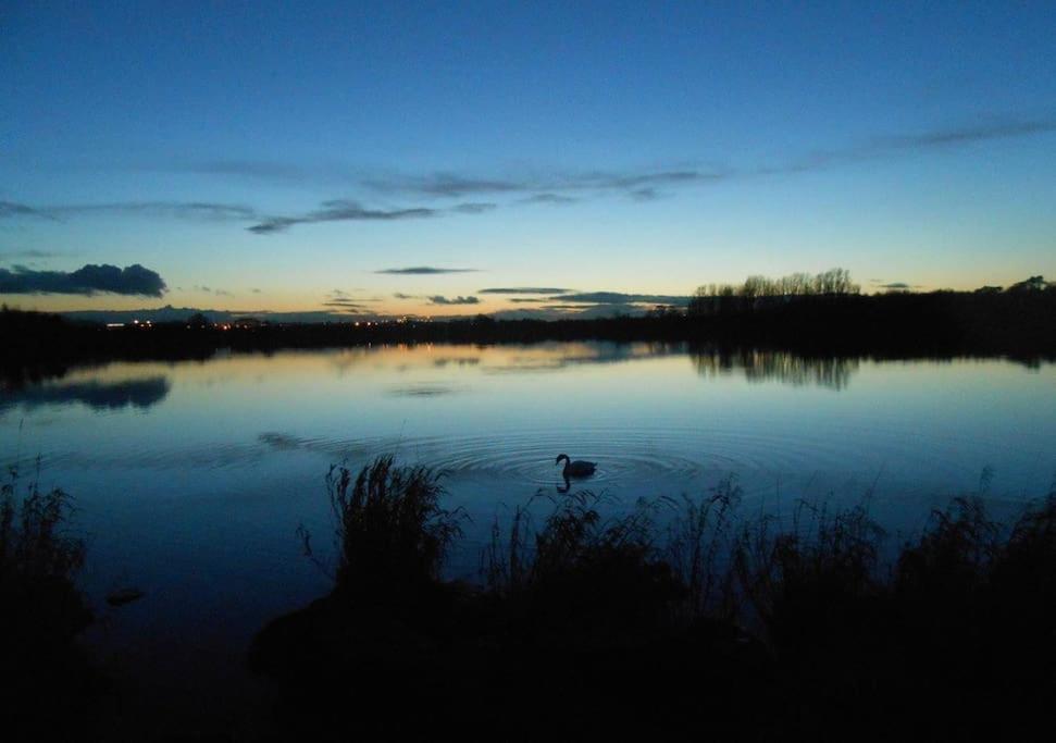 The Lake House: A Delightful And Peaceful Retreat. Derrymacash المظهر الخارجي الصورة