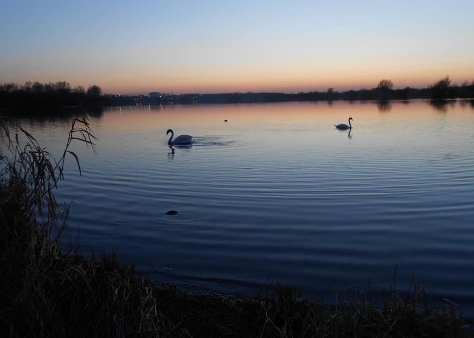 The Lake House: A Delightful And Peaceful Retreat. Derrymacash المظهر الخارجي الصورة